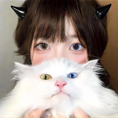SuperLovers第二季
